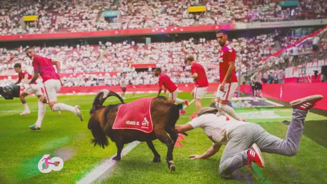 对手, 迪亚斯的三