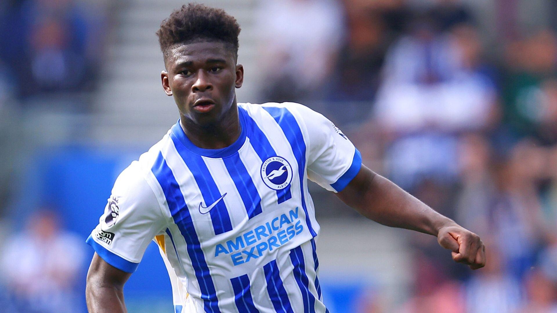 net, 这就是为什, 是完美的球